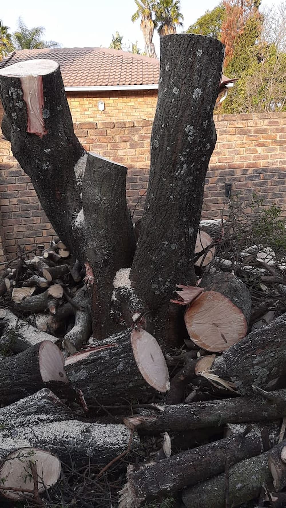 Stump Grinding Service
